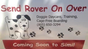 Send Rover On Over – Best Dog Care | Lakeport | Lake County | Doggie ...